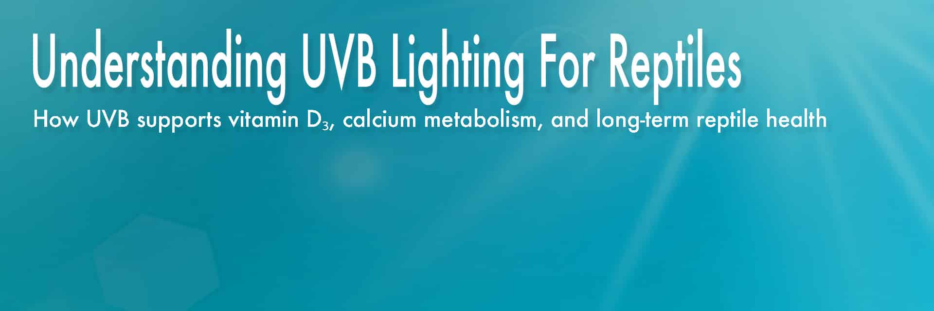 How UVB supports vitamin D3, calcium metabolism, and long-term reptile health