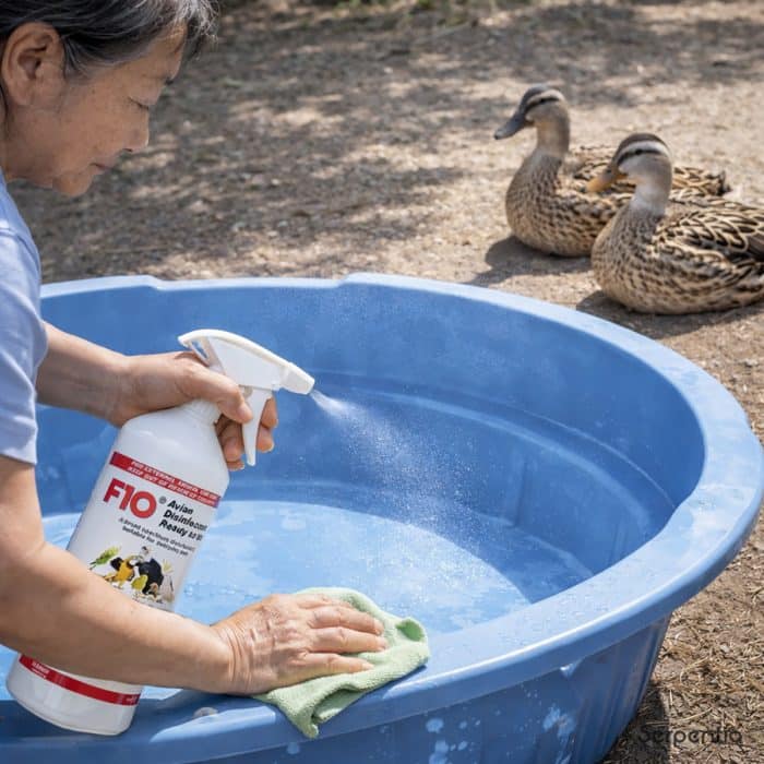 Cleaning a waterfowl tub using F10 avian disinfectant ready to use