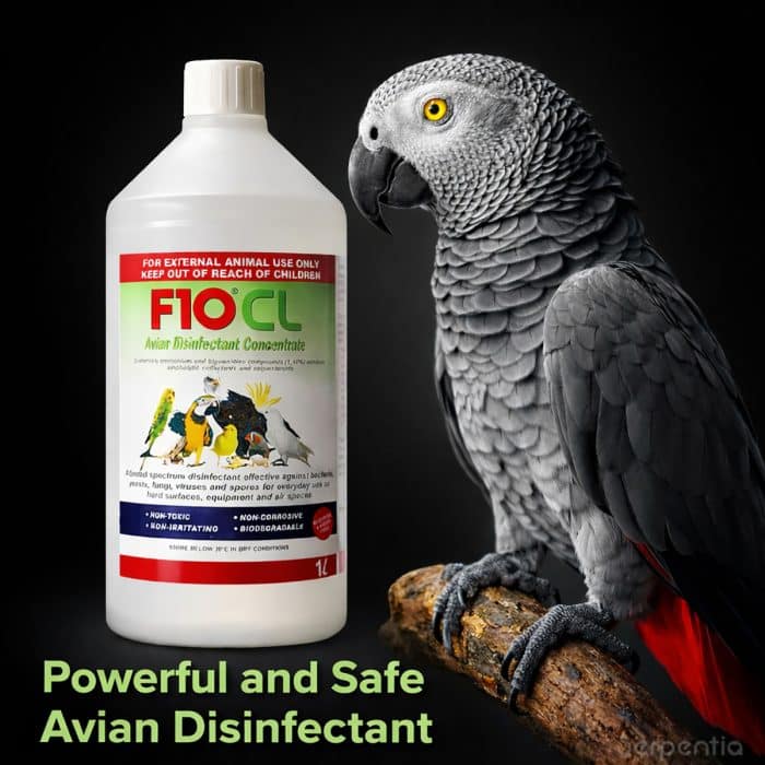 F10 CL avian disinfectant concentrate with African Grey parrot