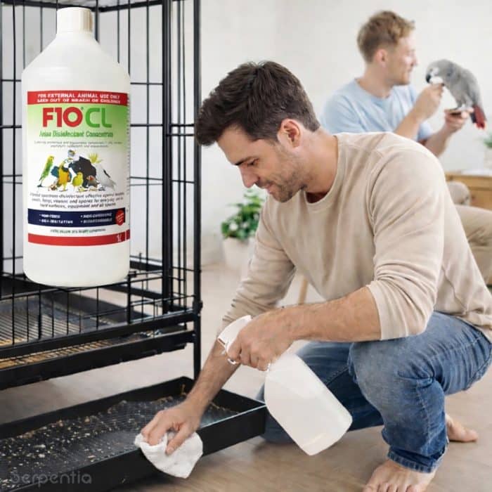 Cleaning a bird cage tray using F10 CL avian disinfectant