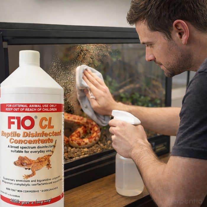 Cleaning a reptile vivarium using F10 CL reptile disinfectant concentrate