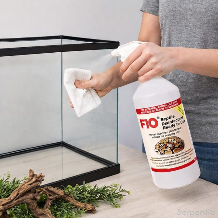 Cleaning a reptile vivarium using F10 reptile disinfectant ready to use spray