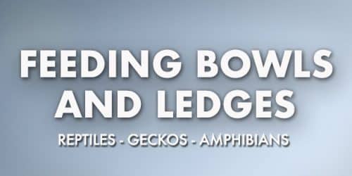 Feeding Bowls & Ledges