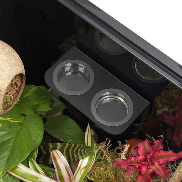 HabiStat double gecko feeding ledge mounted inside a glass terrarium viewed from above