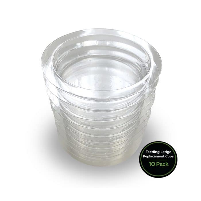 Clear clip-in feeding cups for HabiStat arboreal gecko feeding ledges 10 pack