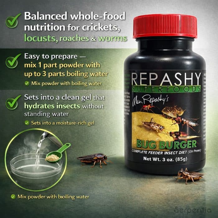 Repashy Bug Burger feeder insect diet preparation and feeding infographic