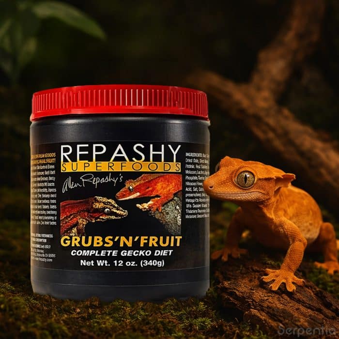 Repashy Grubs N Fruit 340g complete gecko diet shown with a crested gecko