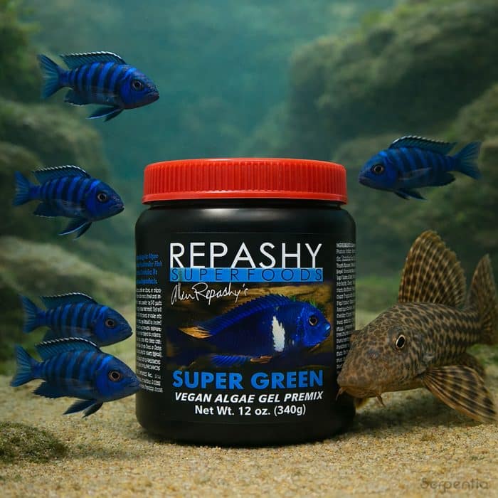 Repashy Super Green 340g herbivore and algae grazing gel fish food - showing a pleco and Mbuna