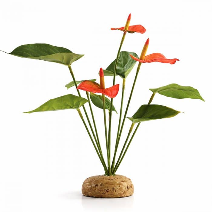 Artificial Anthurium bush vivarium plant approximately 30cm tall with weighted base
