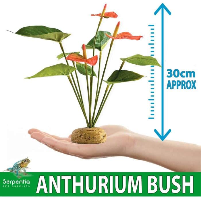 Artificial Anthurium bush vivarium plant 30cm height shown in hand for size reference