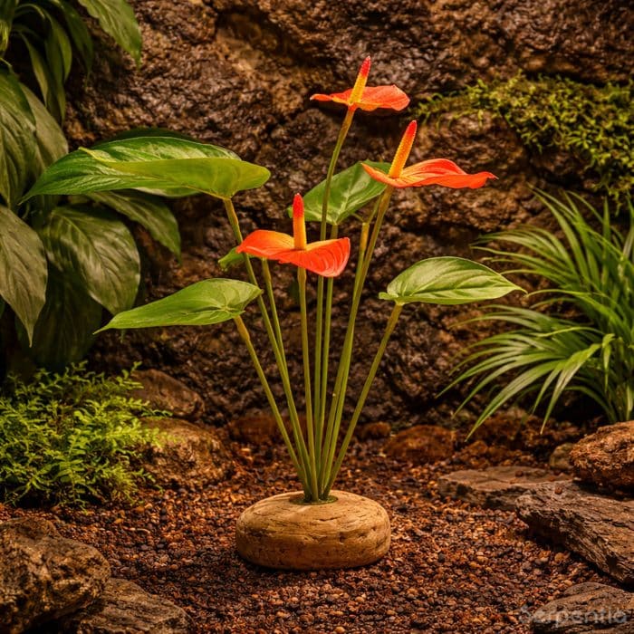 Artificial Anthurium bush plant used in tropical reptile vivarium setup