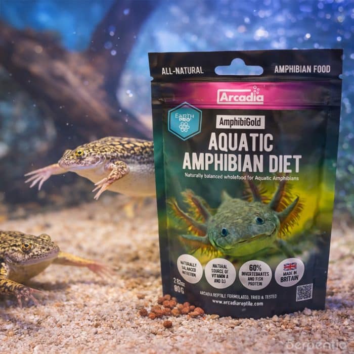 Arcadia AmphibiGold aquatic amphibian diet pellets in aquarium with aquatic amphibians including axolotls