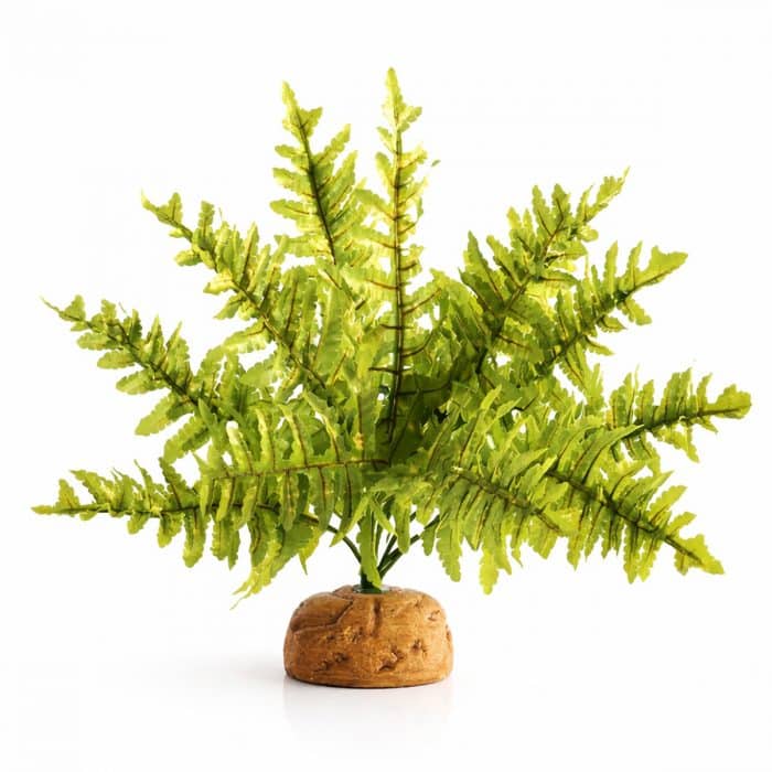 Artificial Boston Fern vivarium plant approximately 20cm tall with weighted base