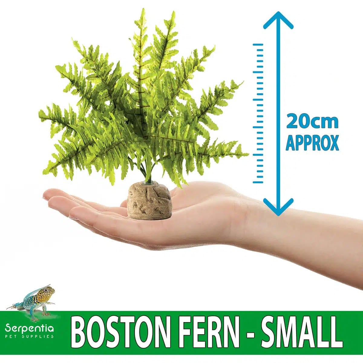 Artificial Boston Fern vivarium plant 20cm height shown in hand for size reference