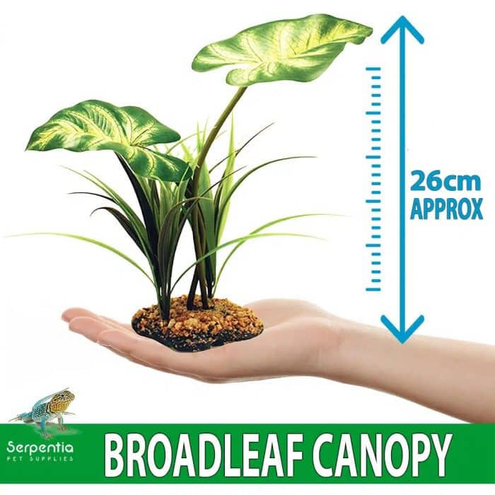 Artificial Broadleaf Canopy vivarium plant 26cm height shown in hand for size reference