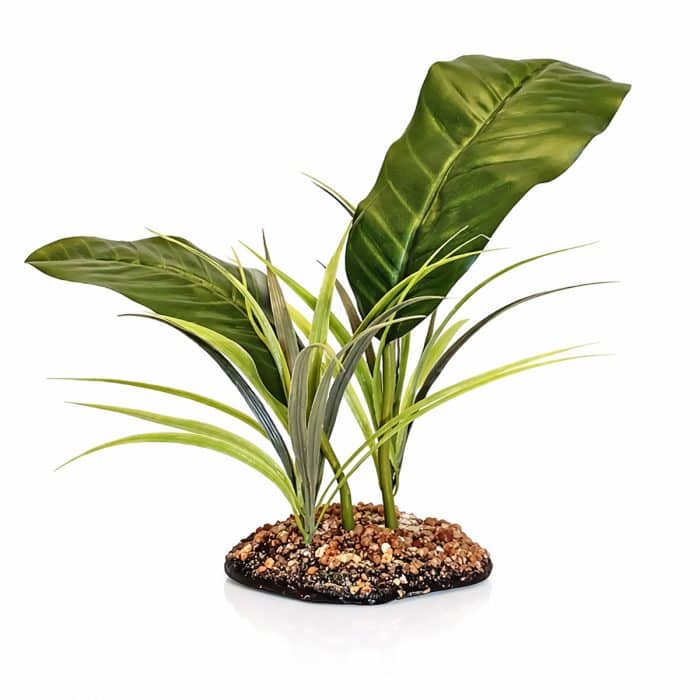 Artificial Evergreen Canopy vivarium plant approximately 35cm tall with weighted base