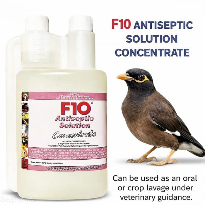 F10 Antiseptic Solution Concentrate 1L suitable for avian oral or crop lavage under veterinary guidance