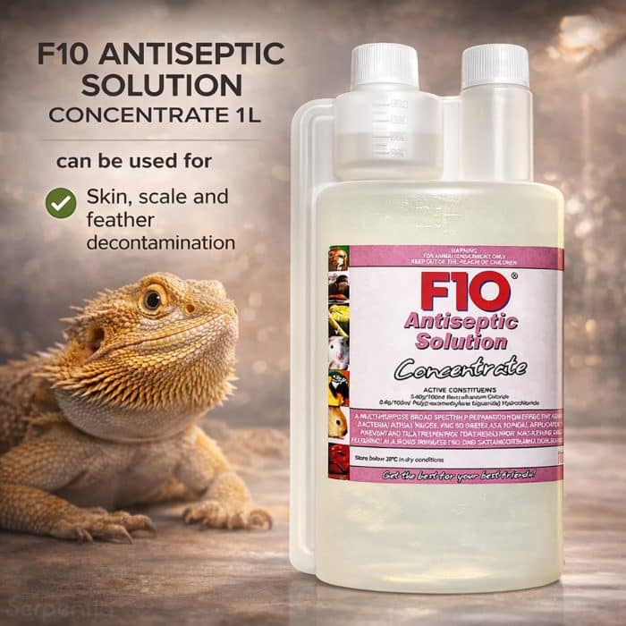 F10 Antiseptic Solution Concentrate 1L used for skin and scale decontamination in reptiles
