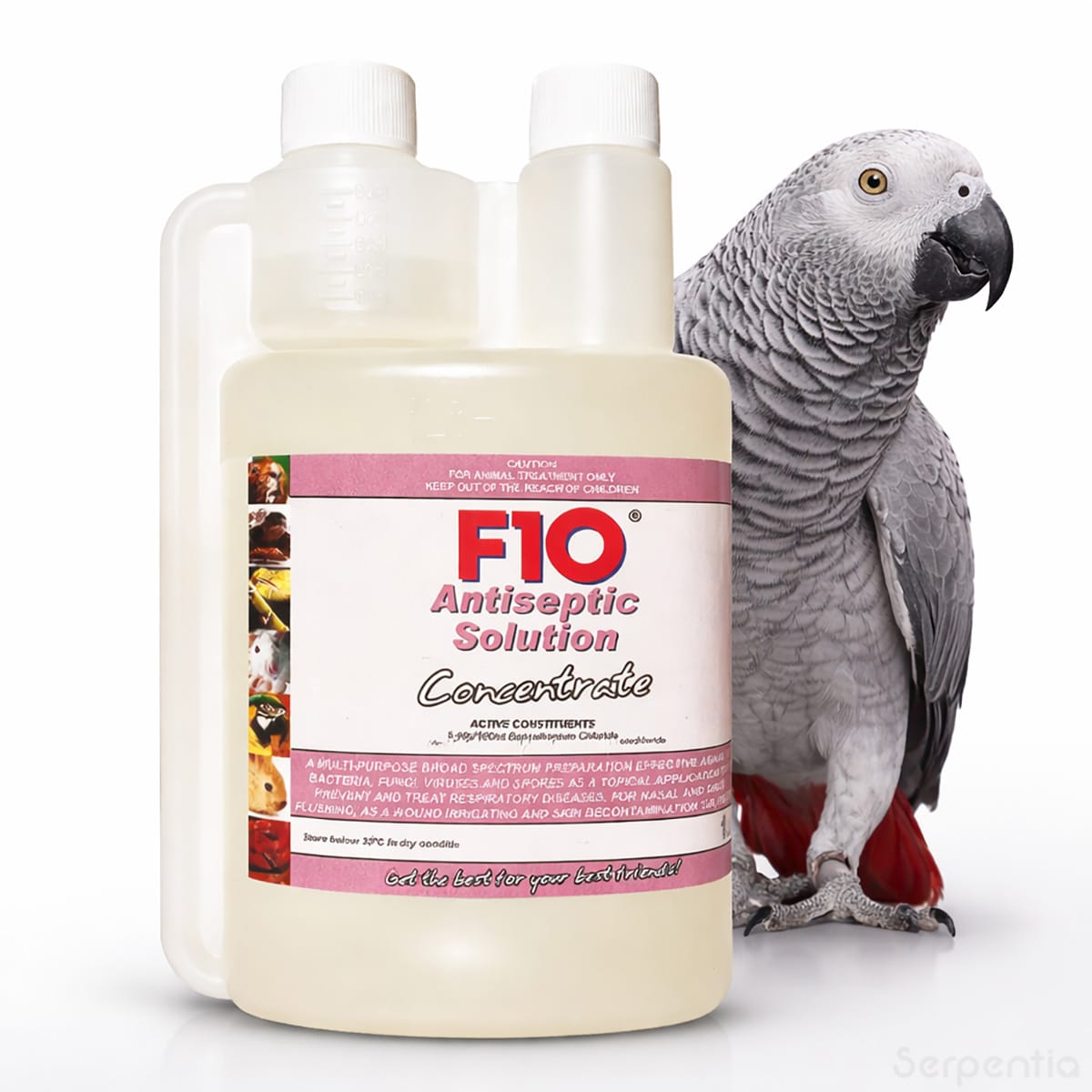 F10 Antiseptic Solution Concentrate 1L shown with African Grey parrot for avian hygiene and wound care