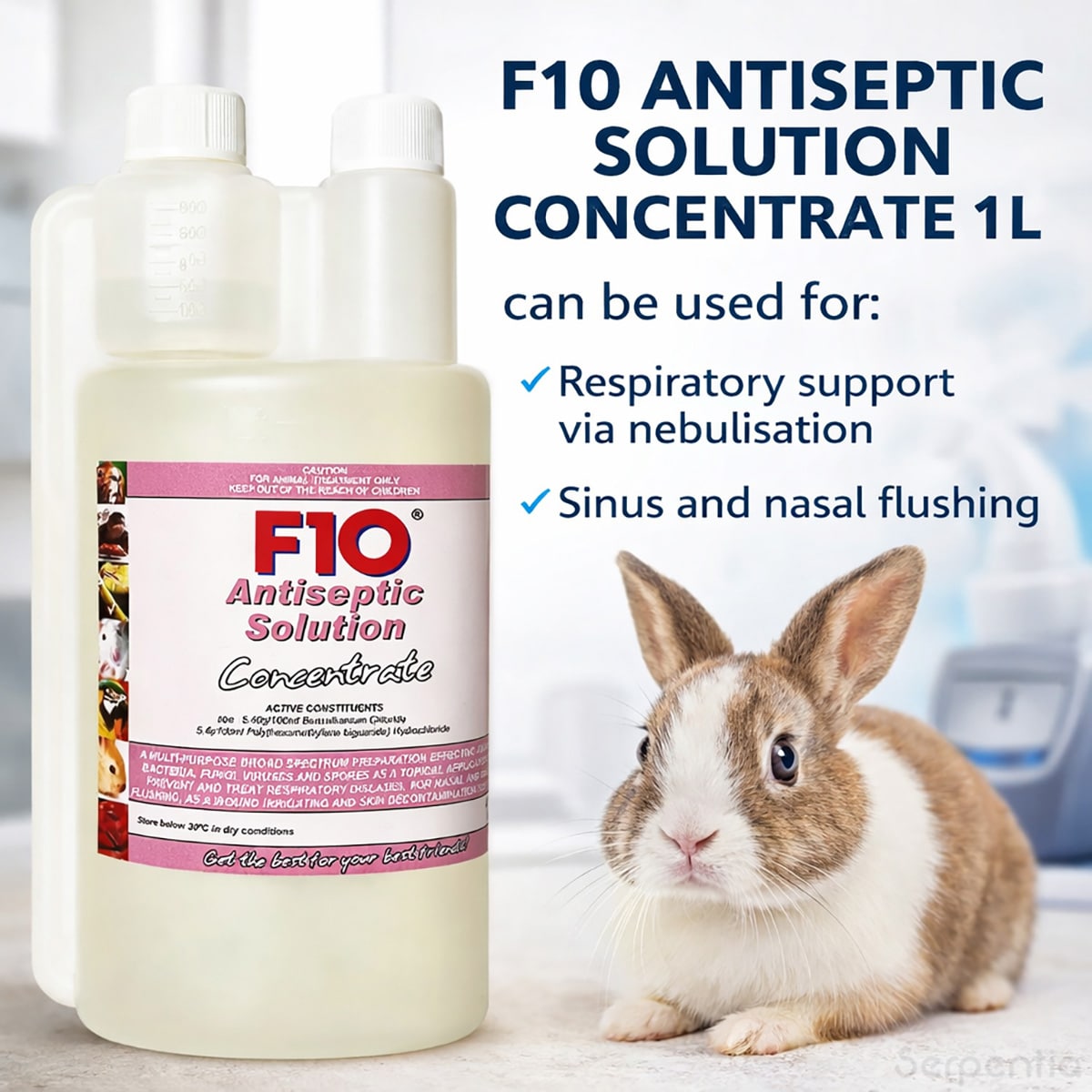 F10 Antiseptic Solution Concentrate 1L for sinus flushing and respiratory support in small animals