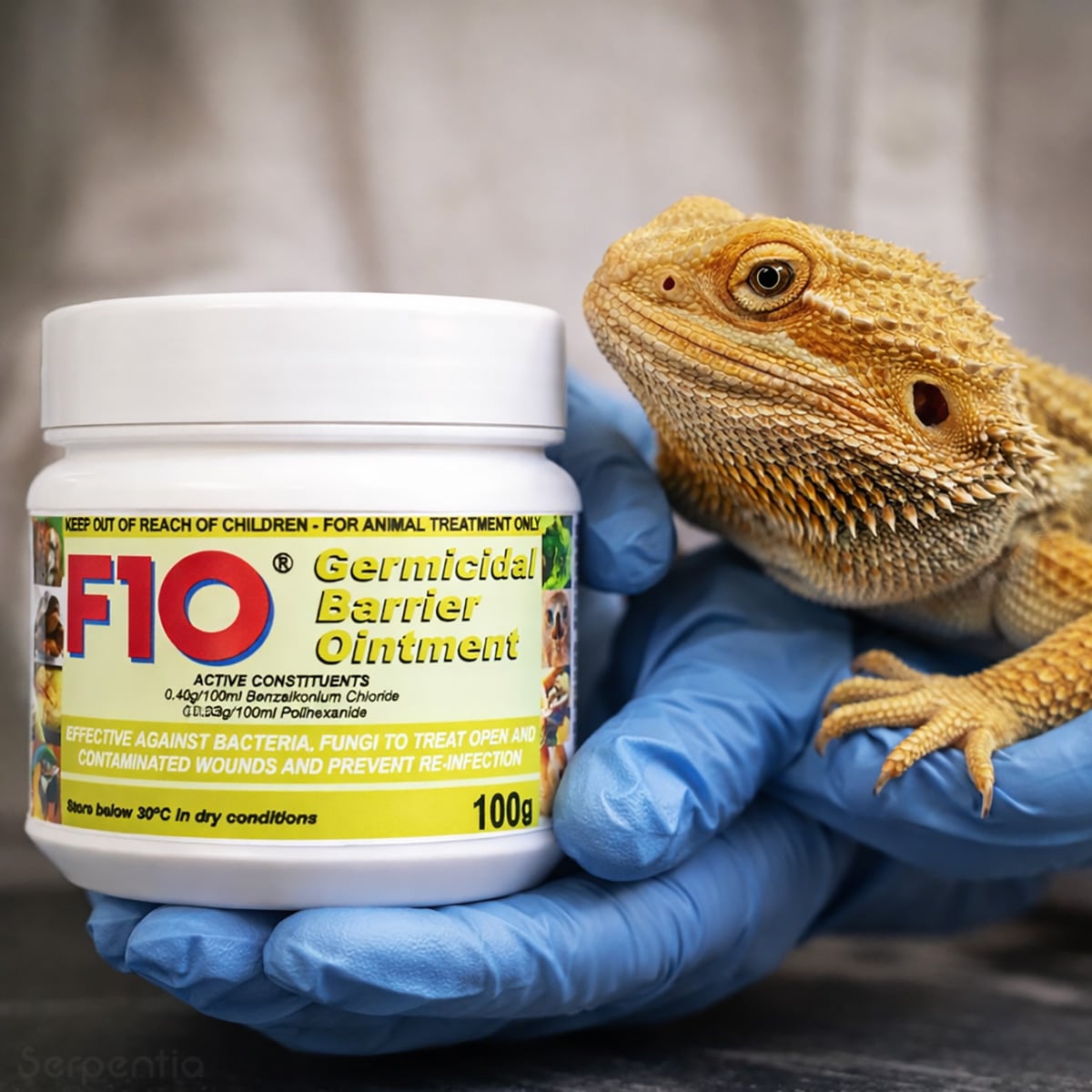 F10 Germicidal Barrier Ointment 100g shown with a bearded dragon for reptile wound treatment and skin protection.