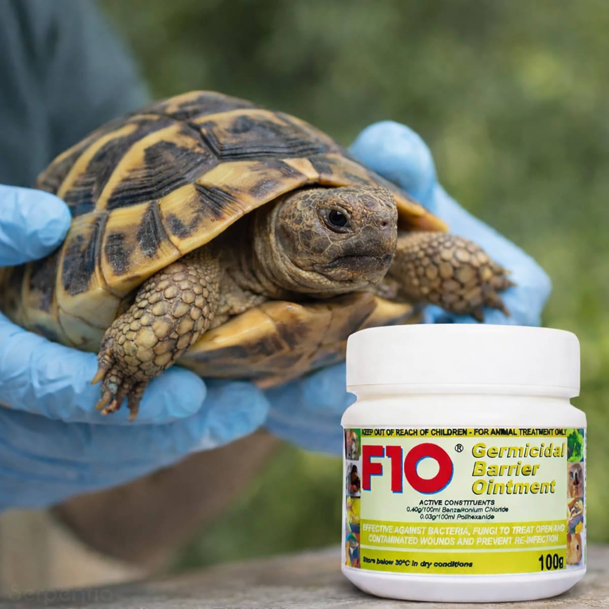 F10 Germicidal Barrier Ointment 100g beside a tortoise, veterinary antibacterial and antifungal wound care for reptiles.