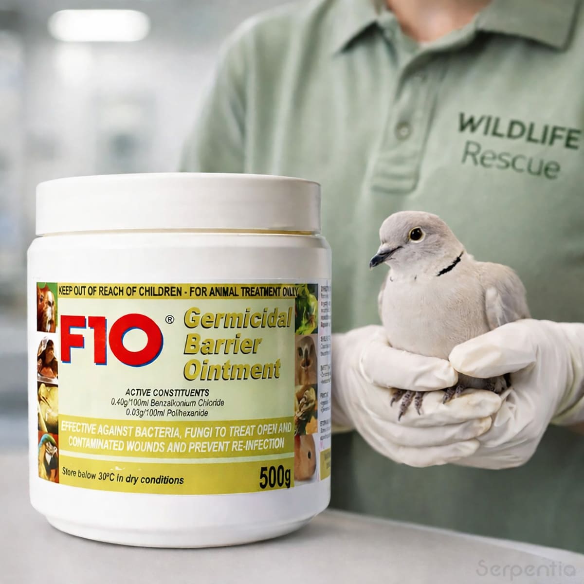 F10 Germicidal Barrier Ointment 500g for birds and wildlife wound care, shown with dove under veterinary handling