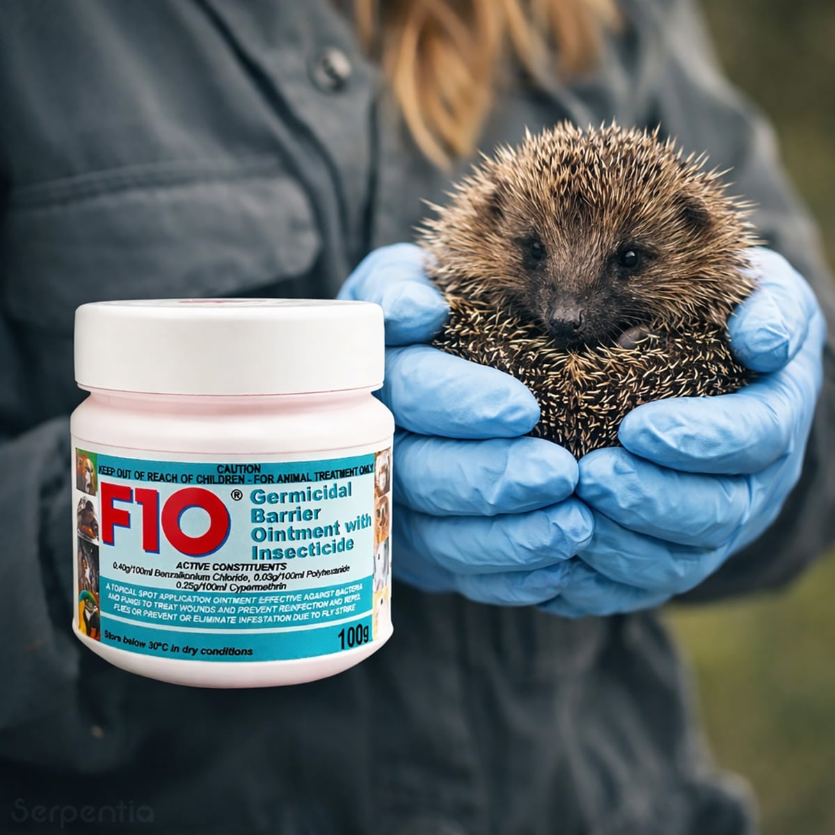 F10 Germicidal Barrier Ointment with Insecticide 100g for hedgehog wound protection and antimicrobial barrier care