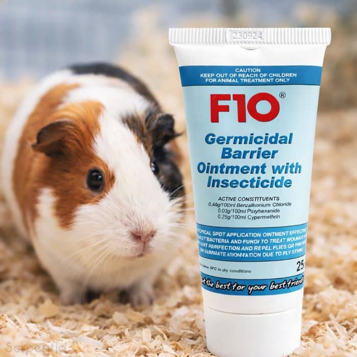 F10 Germicidal Barrier Ointment with Insecticide 25g beside guinea pig for wound protection and fly-strike risk