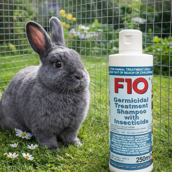 F10 Germicidal Treatment Shampoo with Insecticide 250ml suitable for rabbits and small animals under veterinary guidance