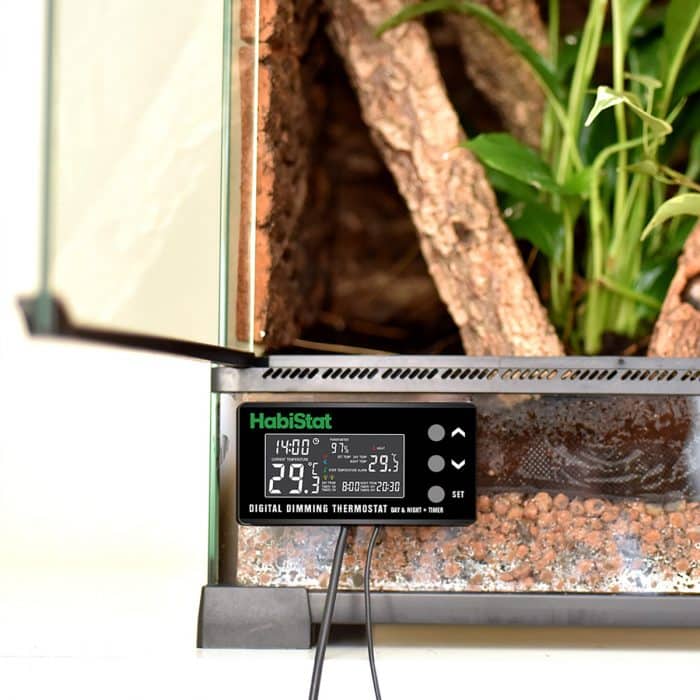 HabiStat digital dimming thermostat installed on a reptile vivarium enclosure.