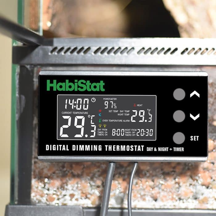 HabiStat digital dimming thermostat mounted on a vivarium with live temperature display.