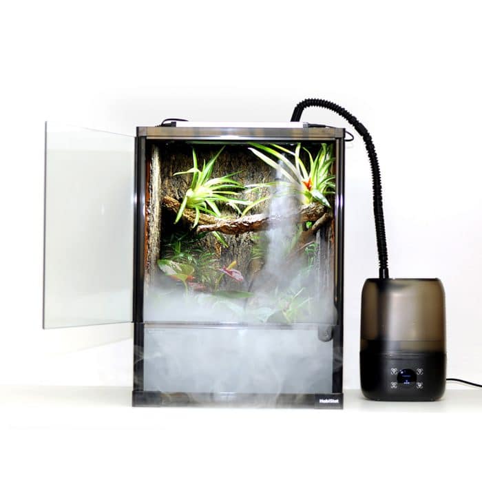 HabiStat humidifier producing mist inside a planted reptile vivarium