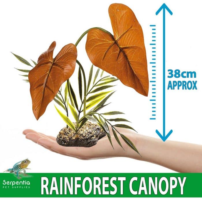 Artificial Rainforest Canopy vivarium plant 38cm height shown in hand for size reference