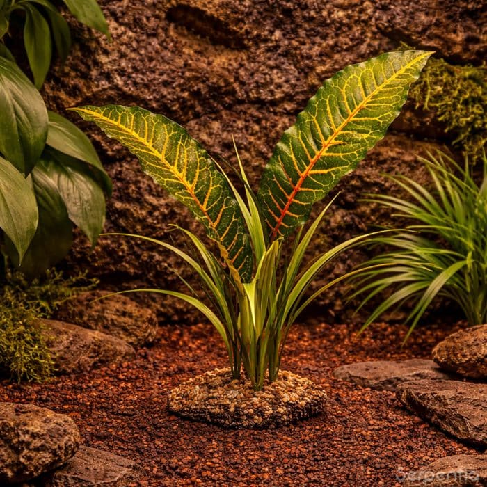 Artificial Tropical Canopy plant used in tropical reptile vivarium setup