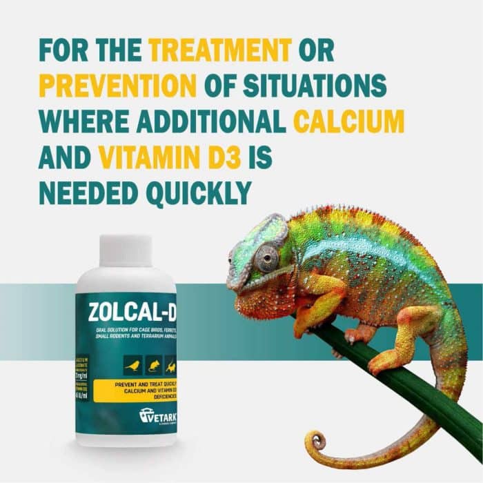 Vetark Zolcal-D oral calcium and vitamin D3 solution shown with chameleon