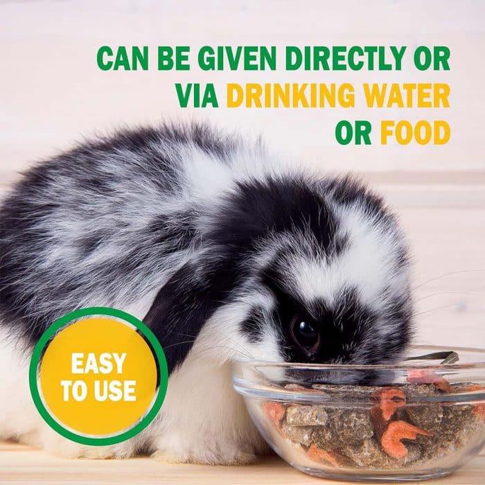 Rabbit drinking food mixed with Zolcal-F liquid calcium and vitamin D3 supplement