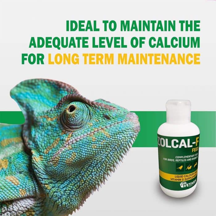 Zolcal-F liquid calcium with vitamin D3 shown with chameleon, ideal for long-term calcium maintenance