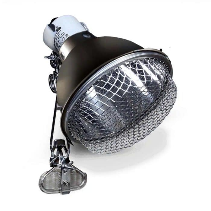 Arcadia 20cm clamp lamp graphite showing reflector dome and protective mesh guard