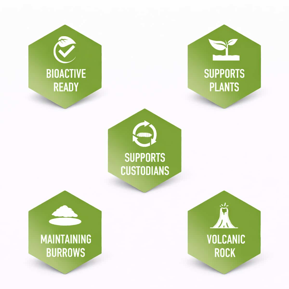 Arcadia EarthMix Forest and Tropical bioactive substrate benefits including plant support burrow stability and volcanic rock drainage