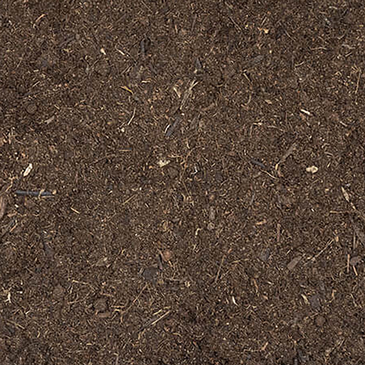 Close up texture of Arcadia EarthMix Tropical and Forest substrate for bioactive rainforest vivariums