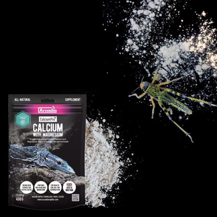 Arcadia EarthPro Ca-Mg 450g calcium and magnesium powder used for dusting feeder insects to support reptile bone health
