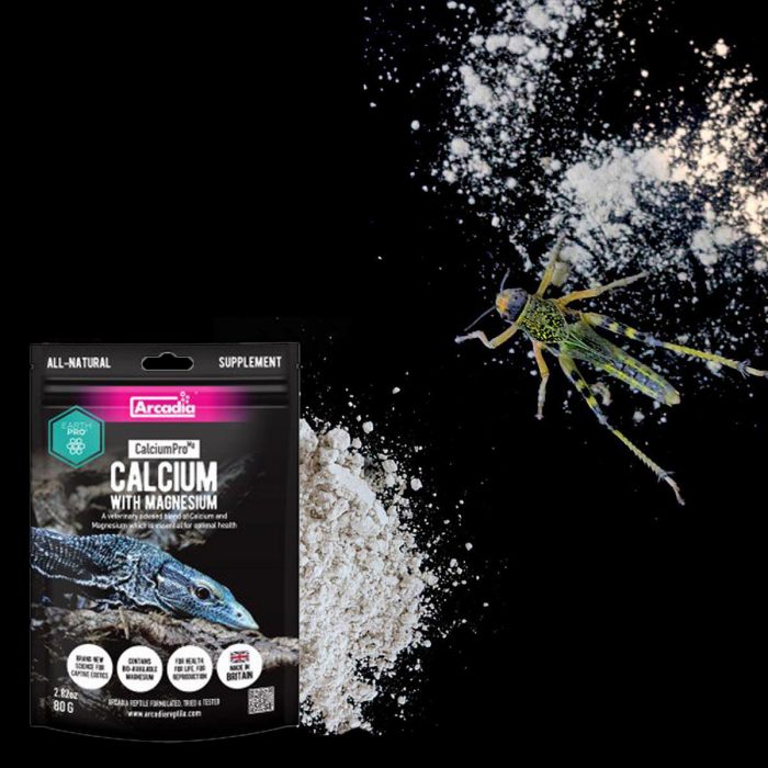 Arcadia EarthPro Ca-Mg 80g calcium and magnesium powder used for dusting feeder insects to support reptile bone health