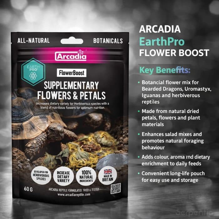 Arcadia EarthPro Flower Boost supplementary flowers and petals botanical reptile food for herbivorous reptiles