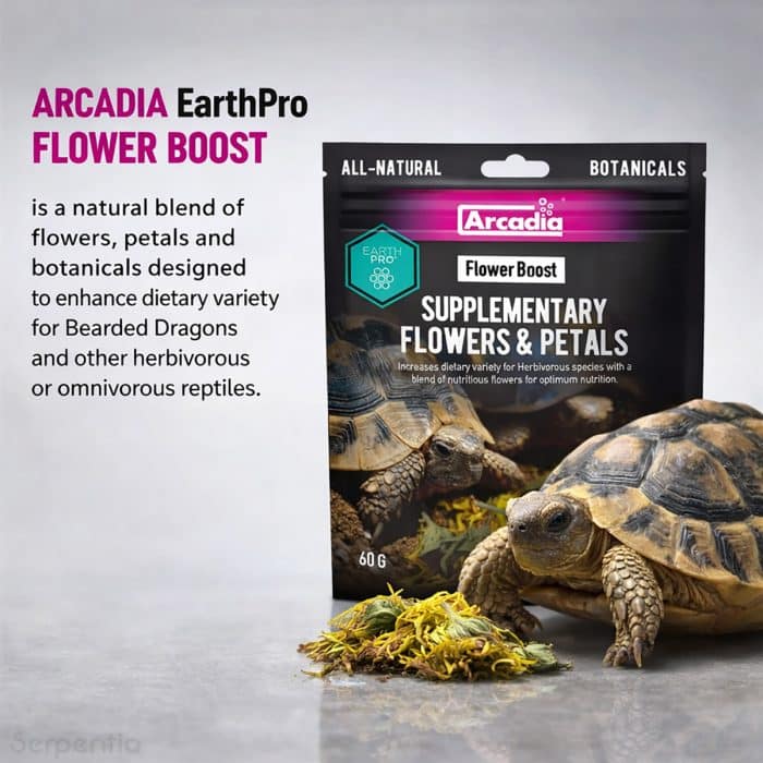 Arcadia EarthPro Flower Boost botanical flower mix for tortoises bearded dragons and herbivorous reptiles