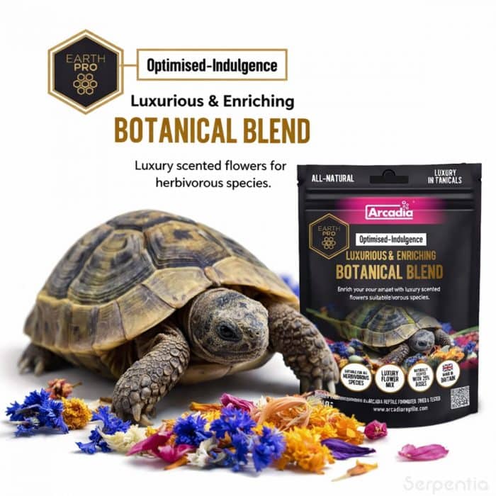 Arcadia EarthPro Optimised-Indulgence botanical blend reptile flower mix with tortoise and dried edible flowers for herbivorous reptiles