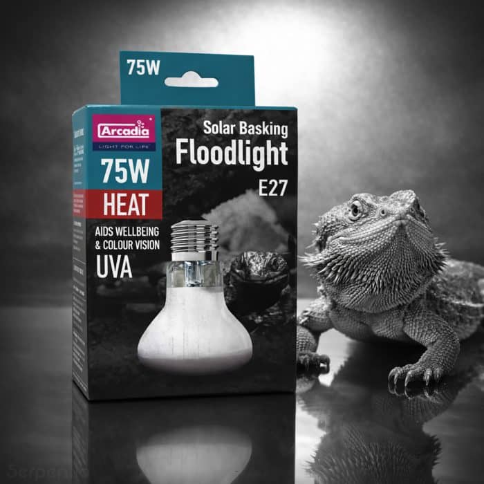 Arcadia Solar Basking Floodlight 75W reptile basking heat lamp suitable for bearded dragons