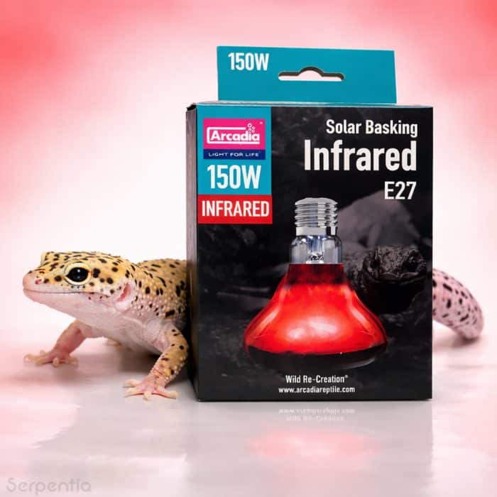 Arcadia Solar Basking Infrared 150W reptile basking heat lamp suitable for leopard geckos