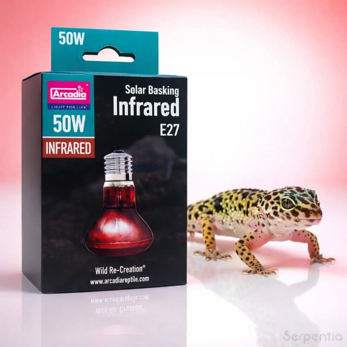 Arcadia Solar Basking Infrared 50W reptile basking heat lamp suitable for leopard geckos