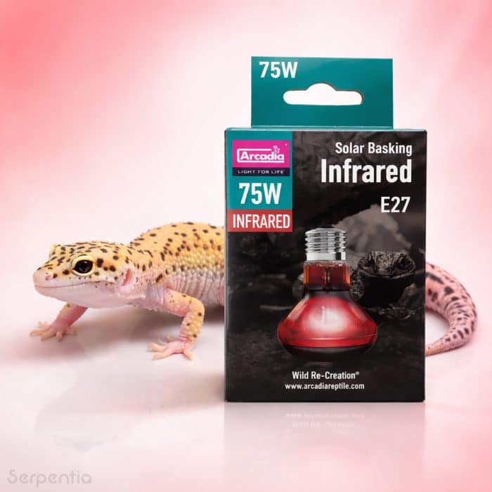 Arcadia Solar Basking Infrared 75W reptile basking heat lamp suitable for leopard geckos